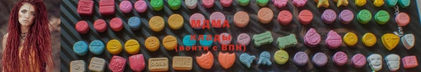 ГАЛЛЮЦИНОГЕННЫЕ ГРИБЫ Аркадак