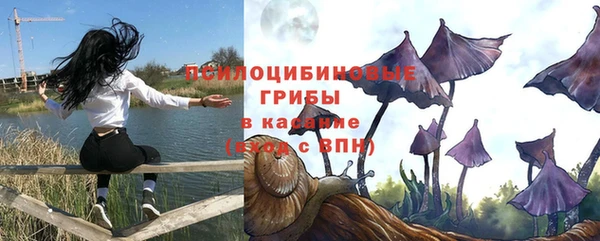 ГАЛЛЮЦИНОГЕННЫЕ ГРИБЫ Аркадак