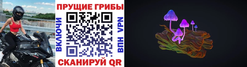 Псилоцибиновые грибы Psilocybe  купить   Полесск 